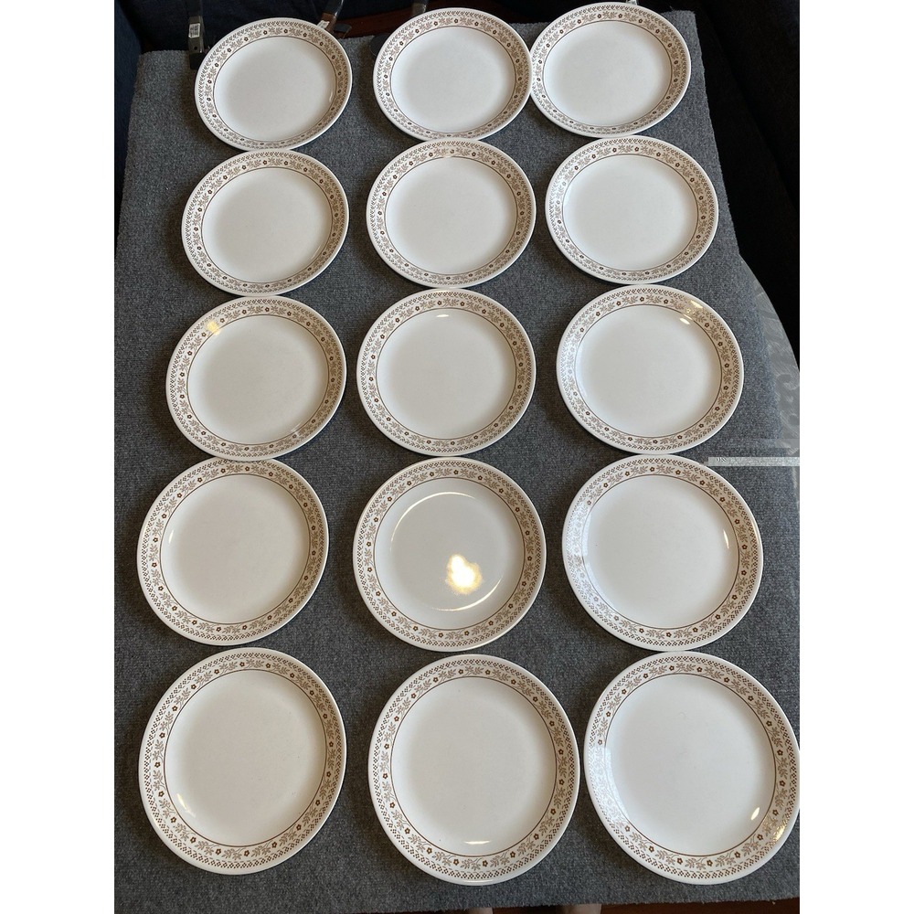 Vintage Corelle Summer Impressions Ginger Dinner Plates Set Of 15
